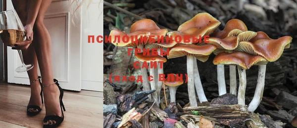 стафф Армянск
